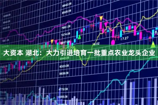 大资本 湖北：大力引进培育一批重点农业龙头企业