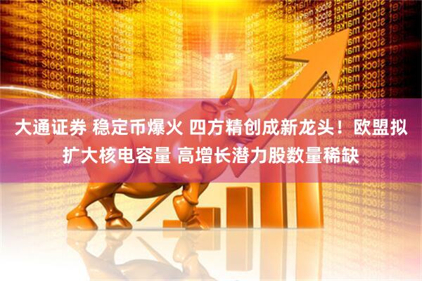 大通证券 稳定币爆火 四方精创成新龙头！欧盟拟扩大核电容量 高增长潜力股数量稀缺