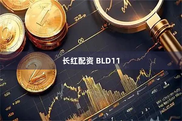 长红配资 BLD11